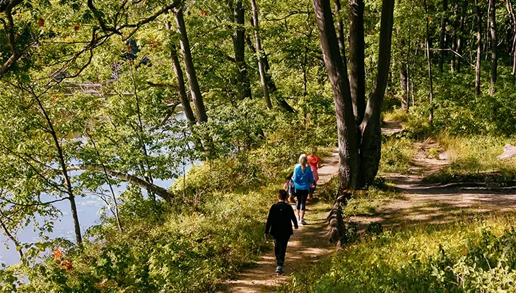Randonneurs marchant sur un sentier forestier à Cootes Paradise.