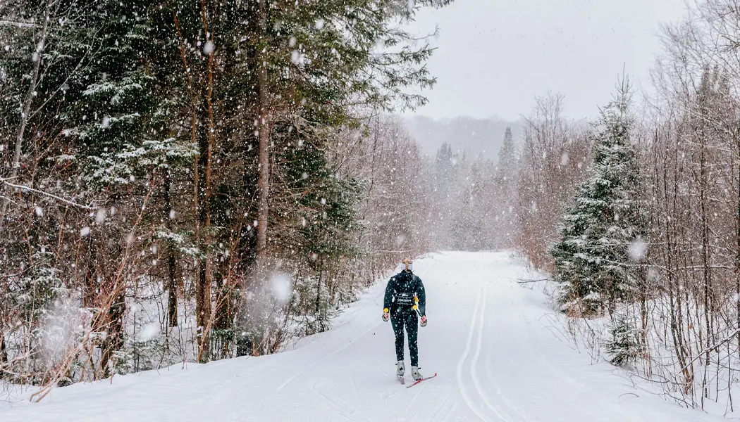 Un skieur de fond aime parcourir un sentier enneigé entouré d'une forêt.