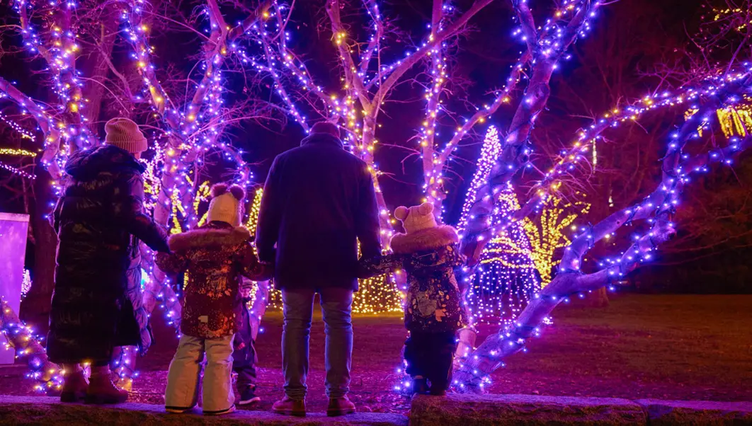 Une famille de quatre personnes admire des installations de lumières colorées durant le Festival des lumières d’hiver qui a lieu chaque année à Niagara Falls (Ontario).