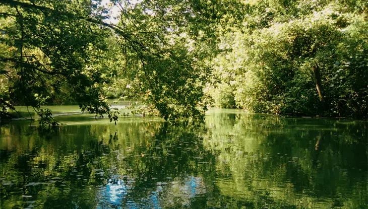 Cours d’eau calme entouré d’arbres dans la zone de protection de la nature de Fanshawe.