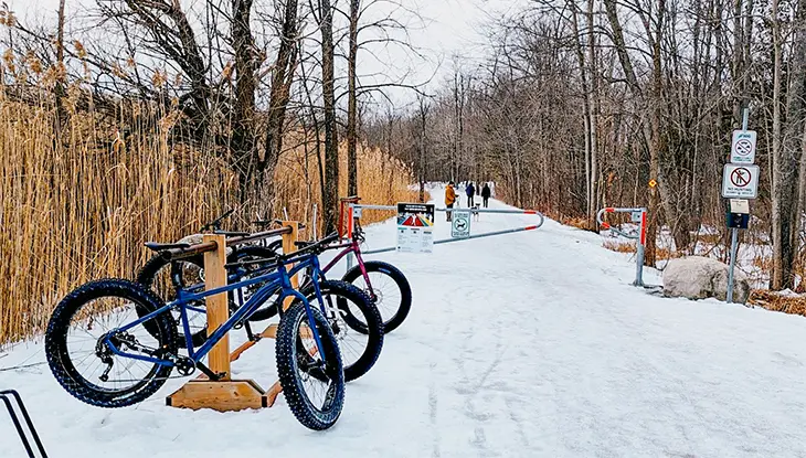 Fatbikes parkten entlang eines verschneiten Weges, im Hintergrund waren Bäume und Schilder zu sehen.