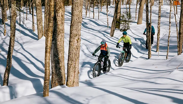 Personnes faisant du vélo à pneus surdimensionnés dans un sentier boisé enneigé, avec les rayons du soleil traversant les arbres.
