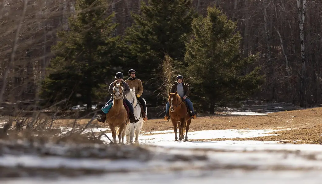 Tres jinetes disfrutan de un tranquilo paseo a caballo por un camino nevado y boscoso.