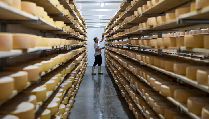Un homme travaillant à l’usine de fabrication de fromage Gunns Hill empile de grandes meules de fromage rondes sur une étagère pour l’affinage.