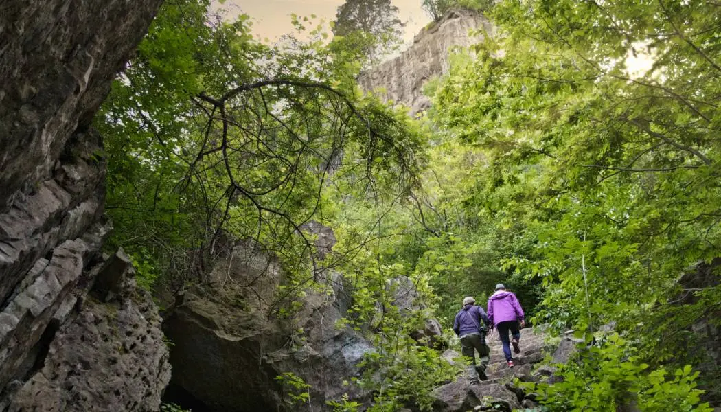 Deux personnes gravissent un sentier rocailleux, entouré d'une forêt verdoyante, en direction de la paroi rocheuse de l'escarpement du Niagara.