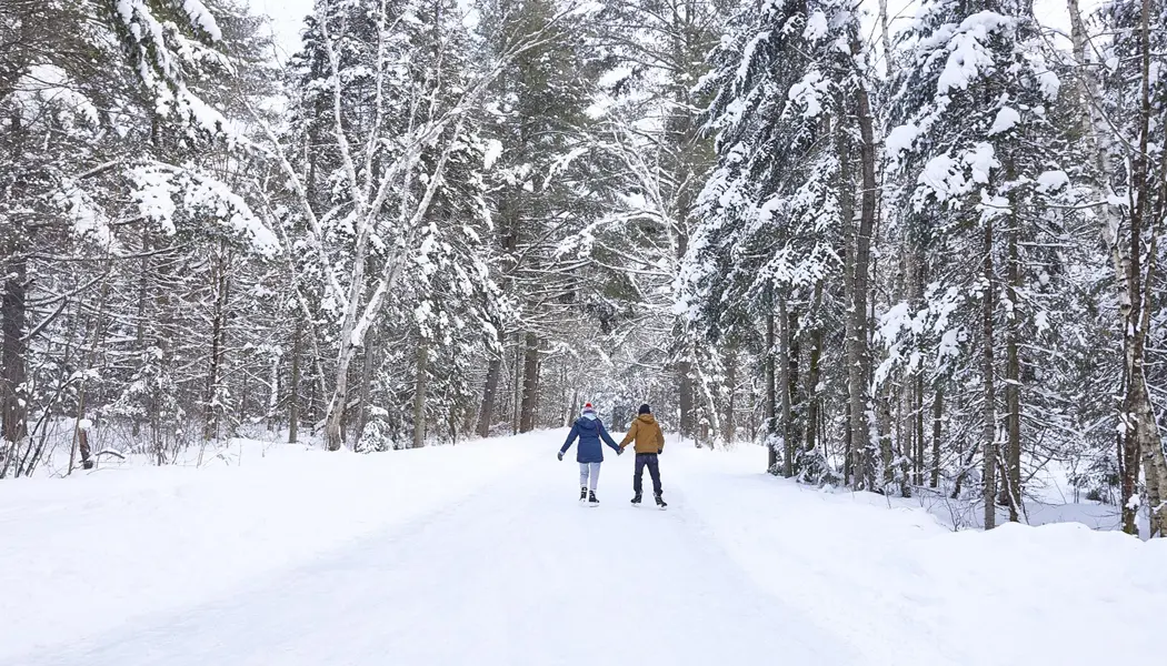 Couple en train de patiner en se tenant par la main sur un sentier glacé dans la forêt du parc Arrowhead