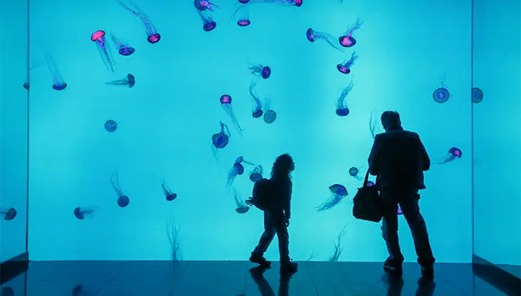 Visiteurs se promenant dans un grand tunnel d’aquarium illuminé de lumière bleue, avec des méduses flottant autour d’eux.