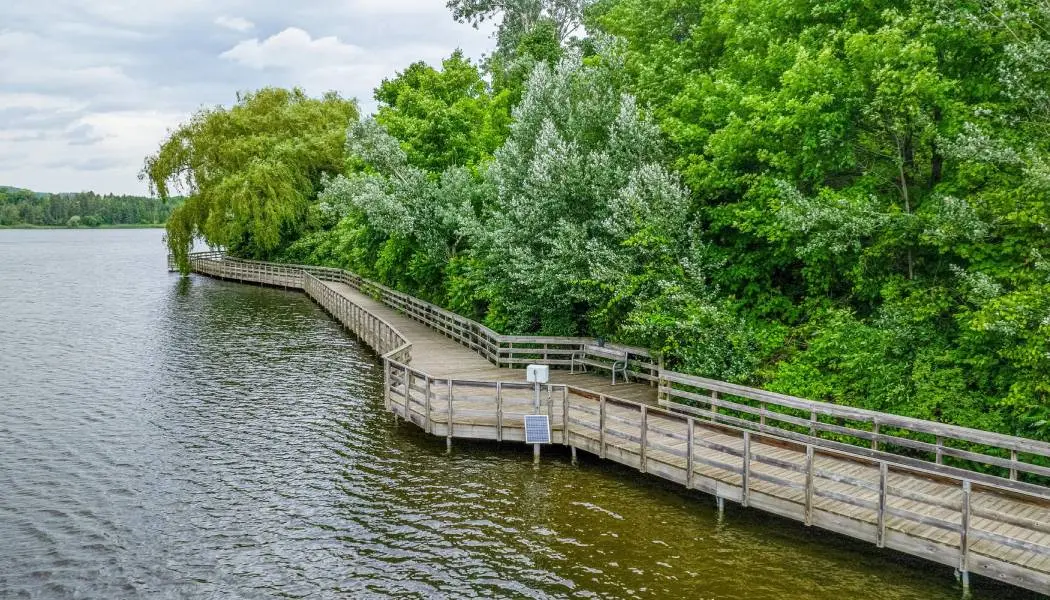 Une promenade en bois longeant les rives d’un grand lac, avec une forêt luxuriante en arrière-plan.