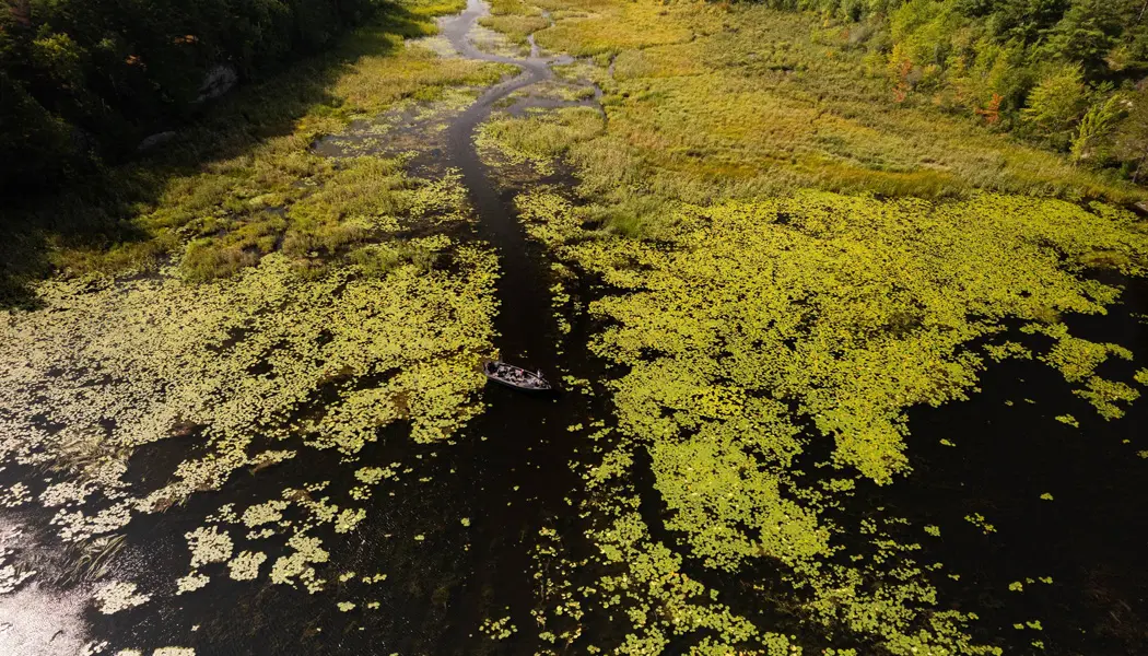 Ein Fischerboot navigiert durch die Gewässer und entlang des verkrauteten Ufers des Nipissing-Sees im Nordosten Ontarios.