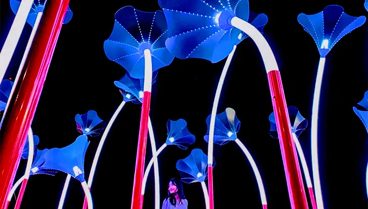 Une femme admire une installation lumineuse fantaisiste lors du festival annuel des lumières d'hiver à Stratford.