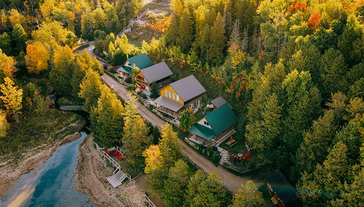Aerial view of cottages surrounded by dense forest with fall colours along a lakeshore.