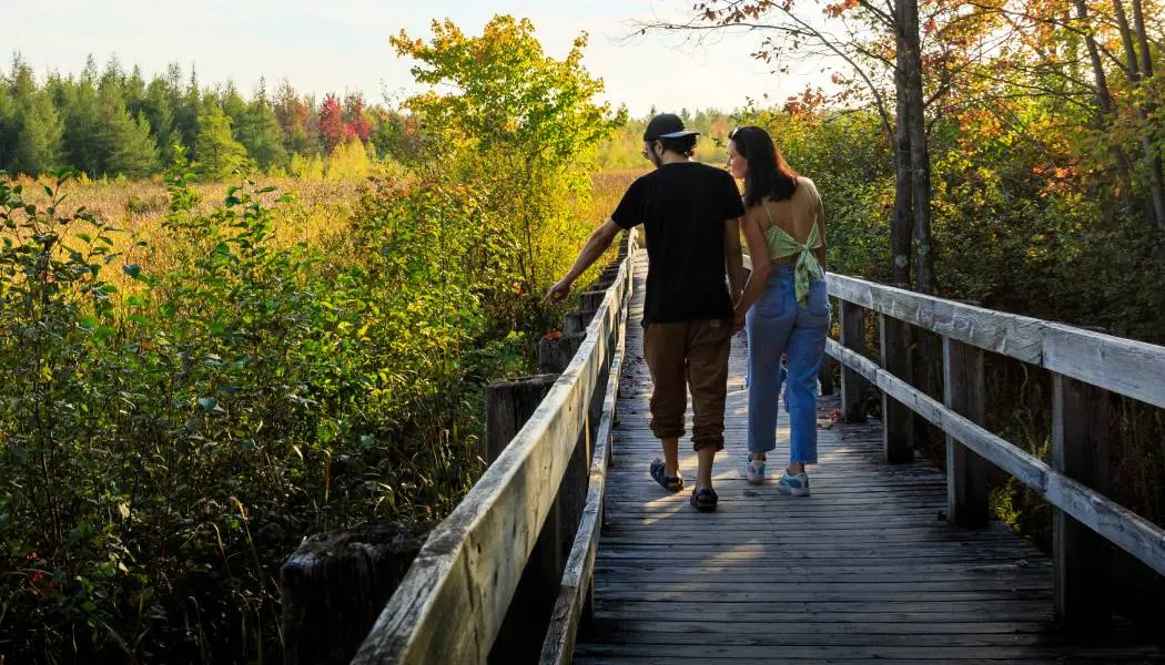 Un couple se promène main dans la main sur une passerelle, profitant des magnifiques paysages naturels qui les entourent.