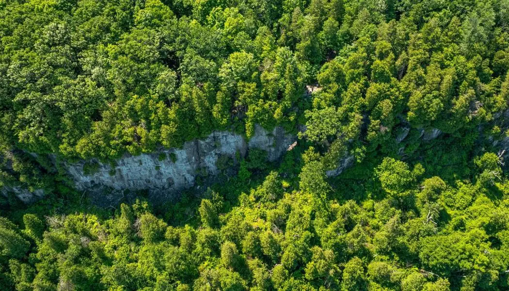 Vue aérienne de la paroi rocheuse de l'escarpement du Niagara, une importante réserve de biosphère mondiale de l'UNESCO en Ontario.