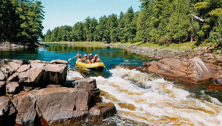 Group of people whitewater rafting through rapids on a forested river in Ontario.