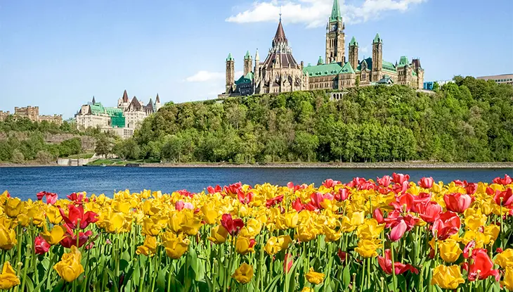 Tulips in bloom along the Ottawa River with Parliament Hill in the background.