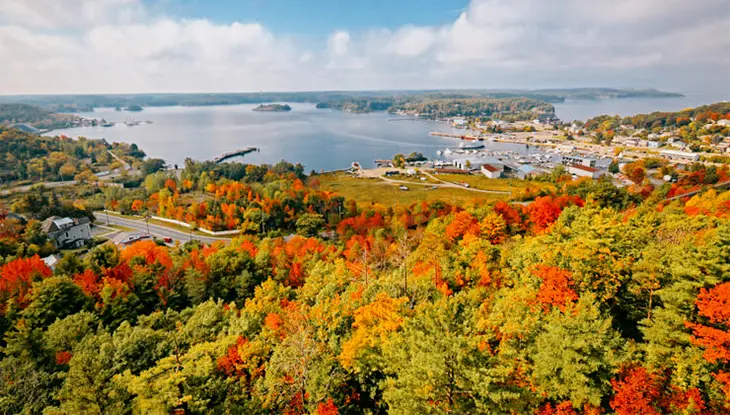 Aerial view of colourful autumn trees overlooking a lakeside town and harbour.