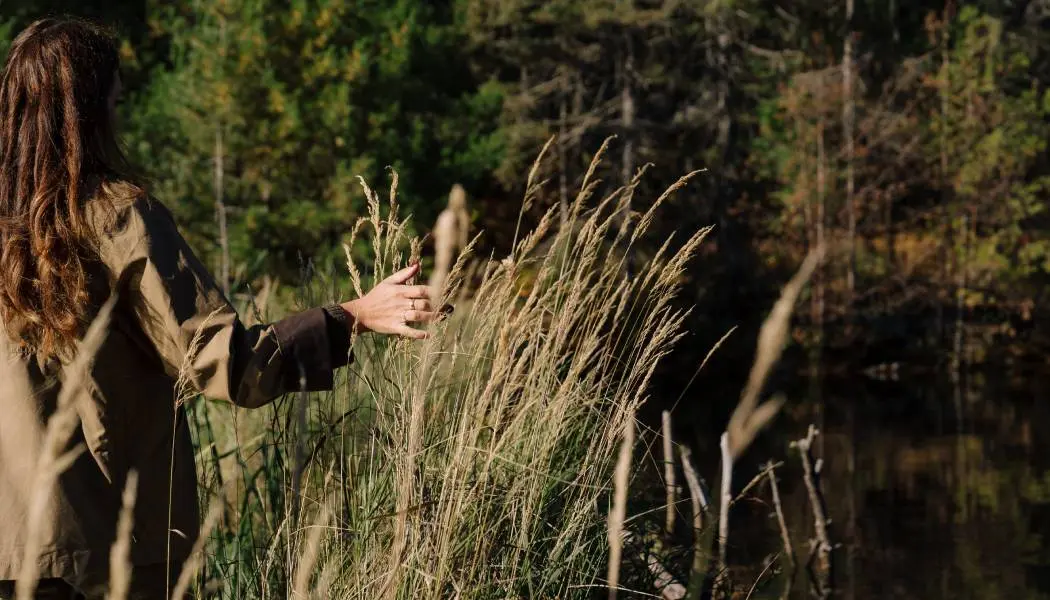Eine Frau streckt die Hand aus, um sanft hohes Gras zu berühren, während sie auf einem Wanderweg im Point Grondine Park entlanggeht.