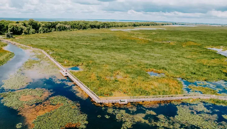 Vue aérienne d’une promenade en bois serpentant à travers les zones humides du parc national de la Pointe-Pelée, en Ontario.