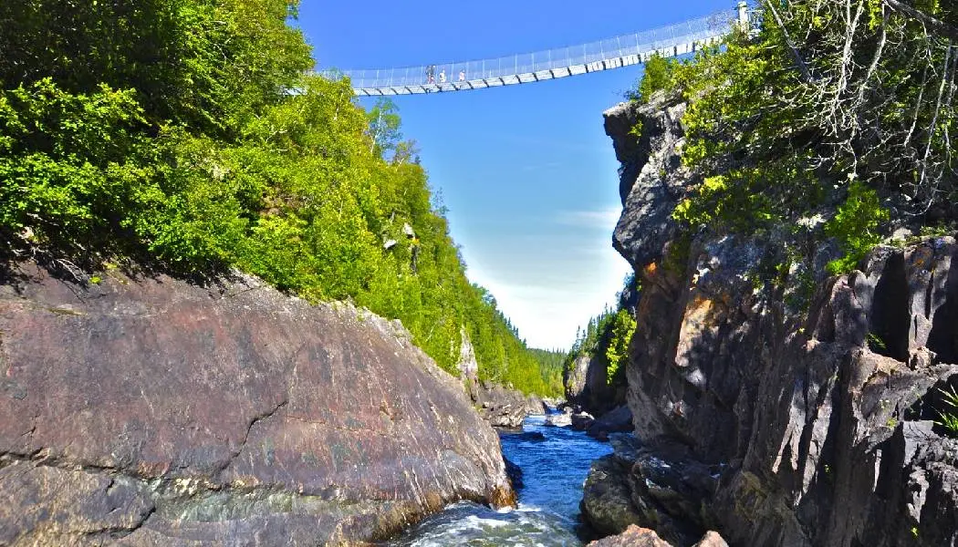 Hikers cross a pedestrian suspension bridge high above a creek flanked by forest.