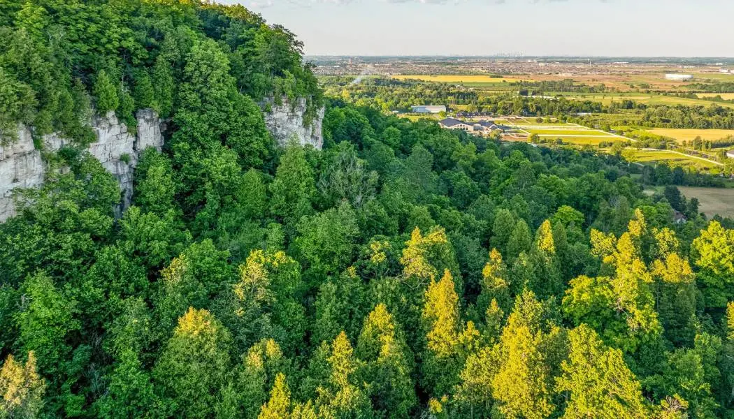Vista aérea de la pared rocosa de granito y el frondoso bosque en el Área de Conservación de Rattlesnake, cerca de Milton.