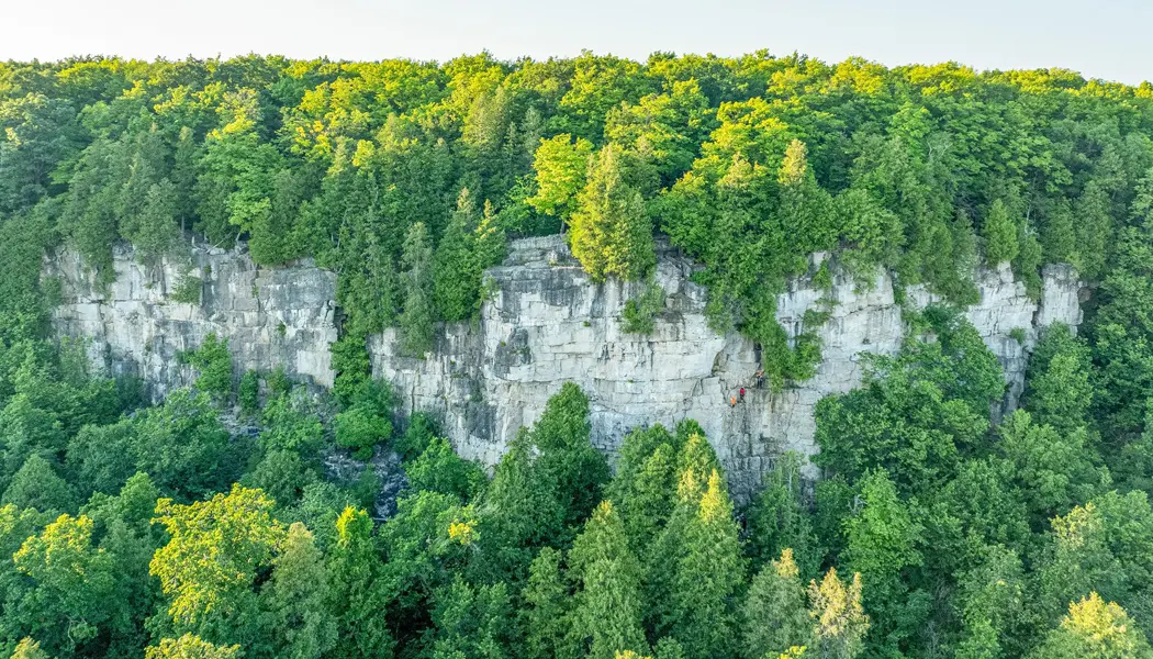 En el Área de Conservación de Rattlesnake Point, una exuberante vegetación perenne rodea la impresionante pared rocosa.