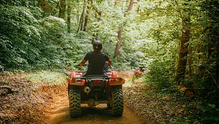 Eine Person fährt mit einem ATV auf einem Waldweg, der von einem dichten Wald umgeben ist.