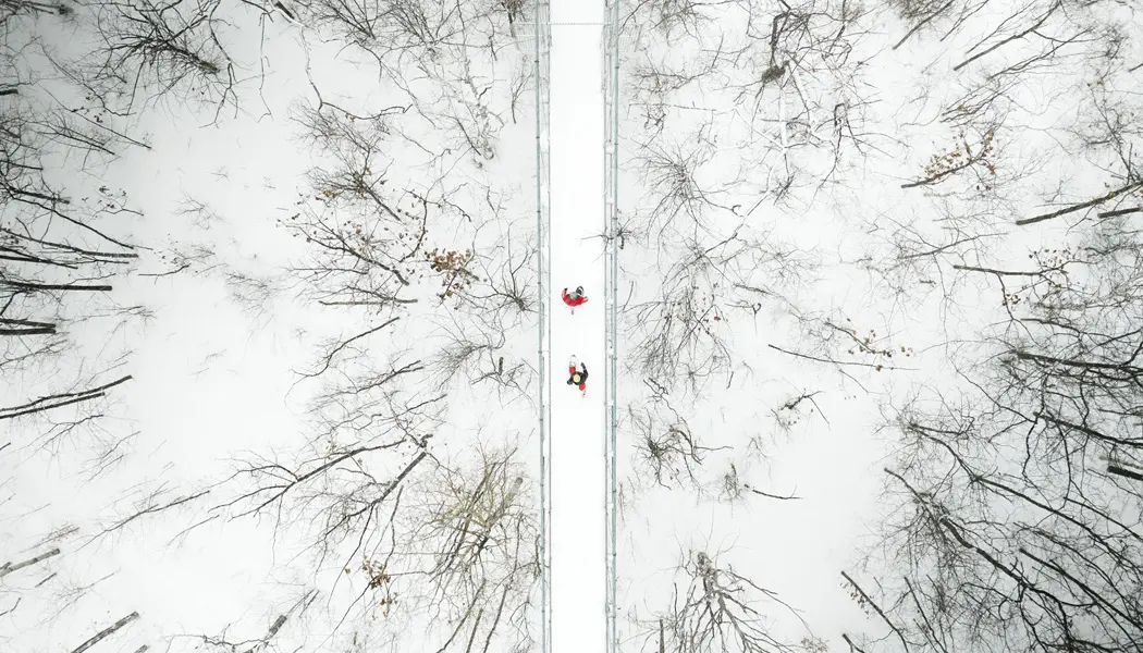 Luftaufnahme von zwei Personen, die mit Schneeschuhen über eine schneebedeckte Brücke über einen schneebedeckten Wald wandern.