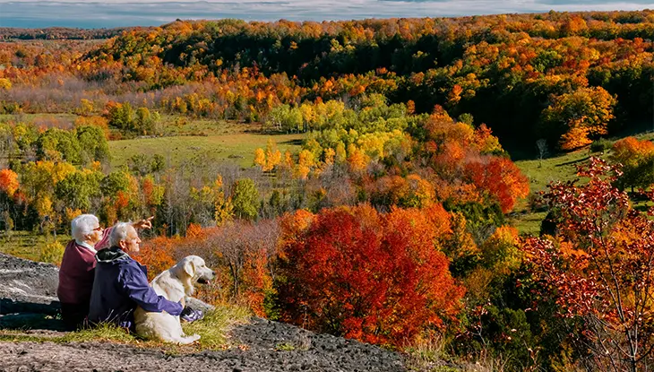 Deux personnes et un chien blanc assis à flanc de colline et contemplant une forêt en automne.