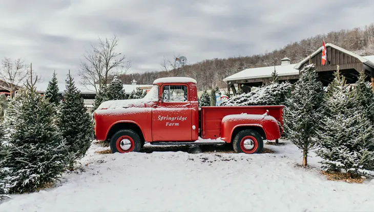 An old-fashioned red pickup truck parked on a Christmas tree farm is covered in a light dusting of fresh snow.