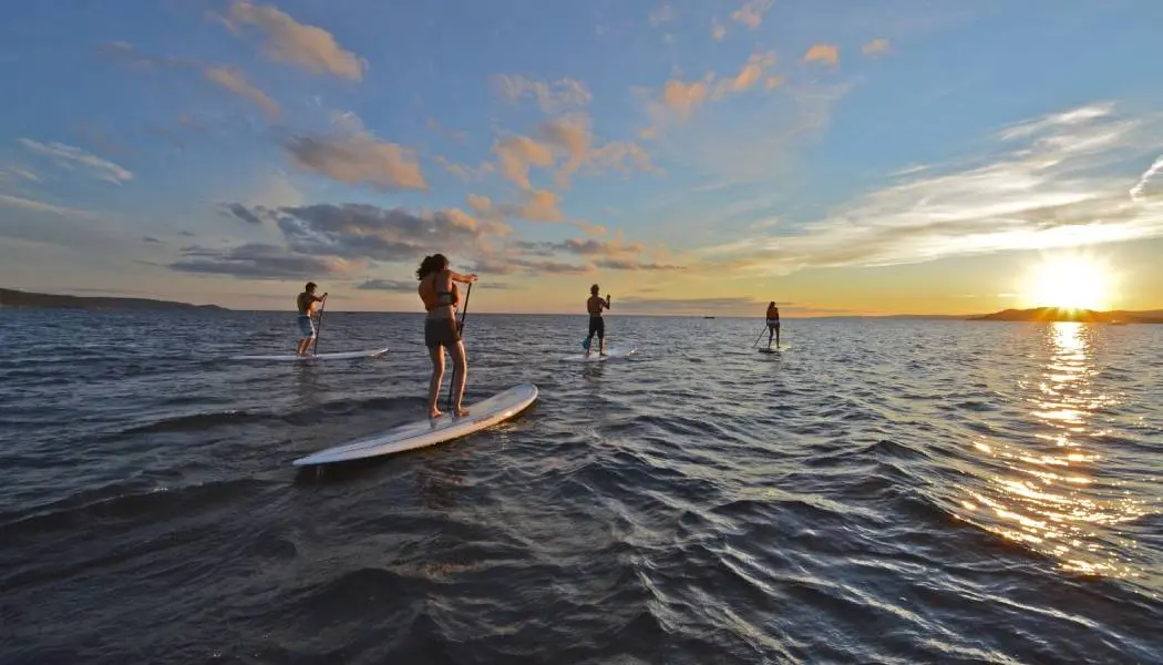 Four people stand up paddling at sunset on Lake Superior.