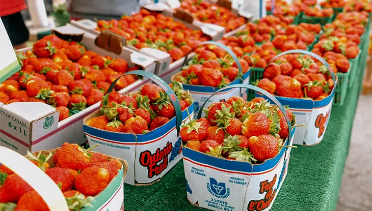 Frische Erdbeerkörbe werden auf einem Freiluftmarkt während des Stouffville Strawberry Festivals angeboten.