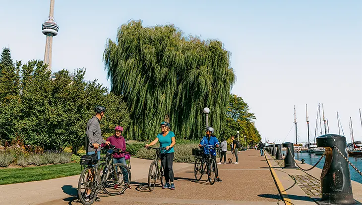 Cyclists stop along Toronto’s waterfront trail, with the CN Tower, marina docks, and leafy parkland visible under a clear blue sky.