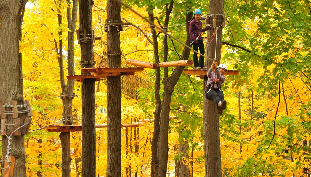Una mujer se desliza en tirolina entre dos árboles mientras su amiga la observa desde una plataforma elevada en Treetop Trekking Stouffville.