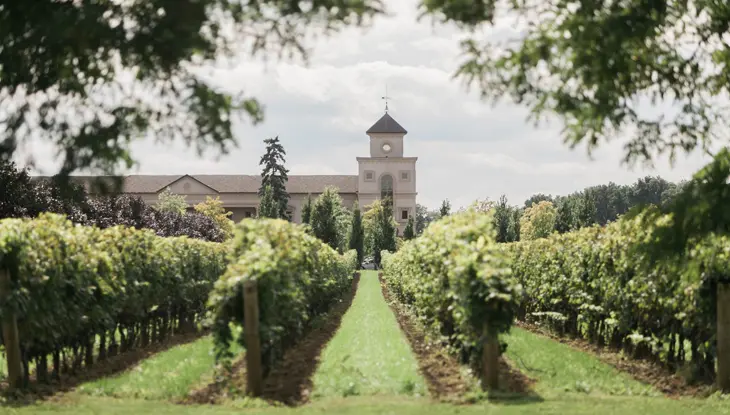 Quatre rangées de vignes menant à un bâtiment majestueux du vignoble Two Sisters à Niagara-on-the-Lake.