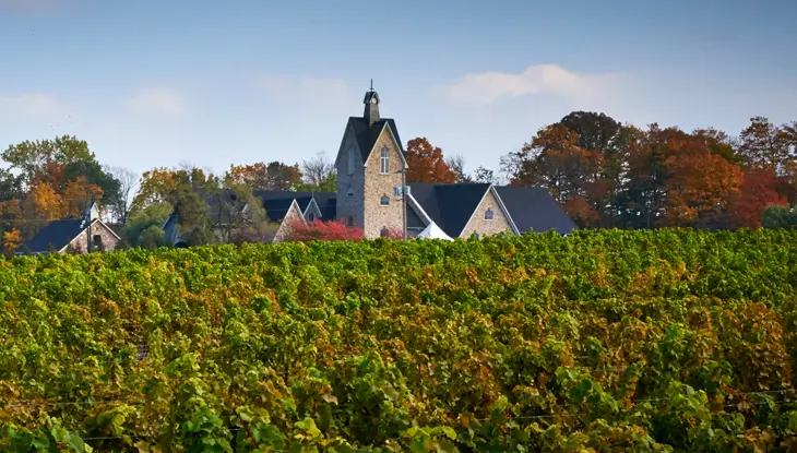 De majestueux bâtiments faisant face à des rangées de vignes dans la région vinicole de Niagara durant la saison automnale.