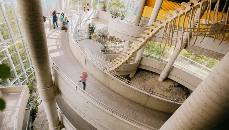 Besucher gehen durch eine moderne, mehrstöckige Innenausstellung mit großen Fenstern und einem hängenden Walskelett.